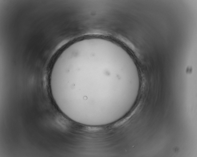 X0000103401258200809120916