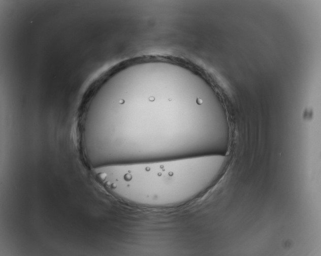 X0000103401262200809120915