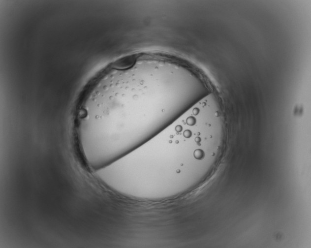 X0000103401263200809120915