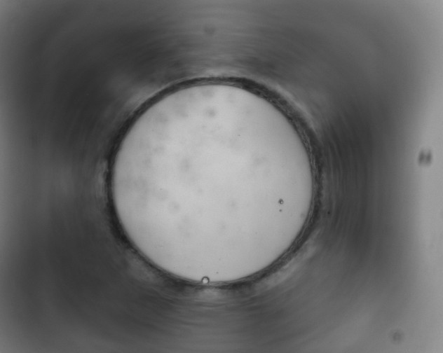 X0000103401265200809120915