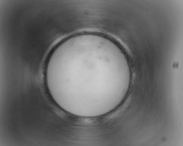 X0000103401266200809120915