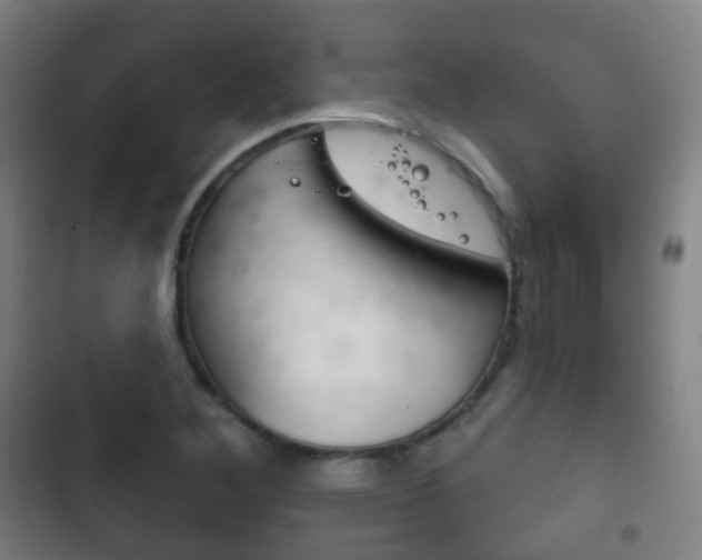 X0000103401268200809120915