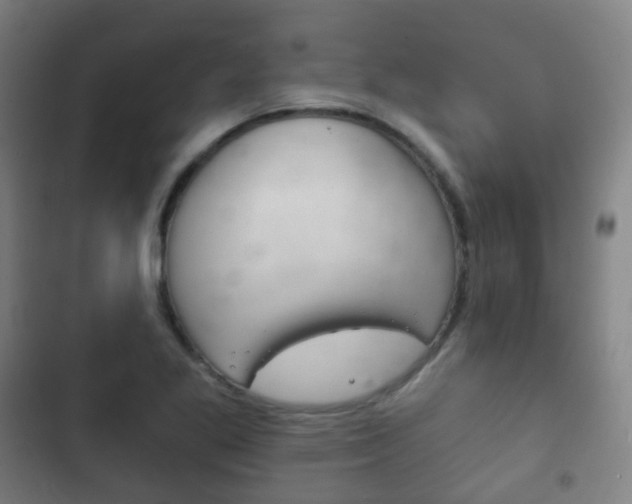 X0000103401269200809120915