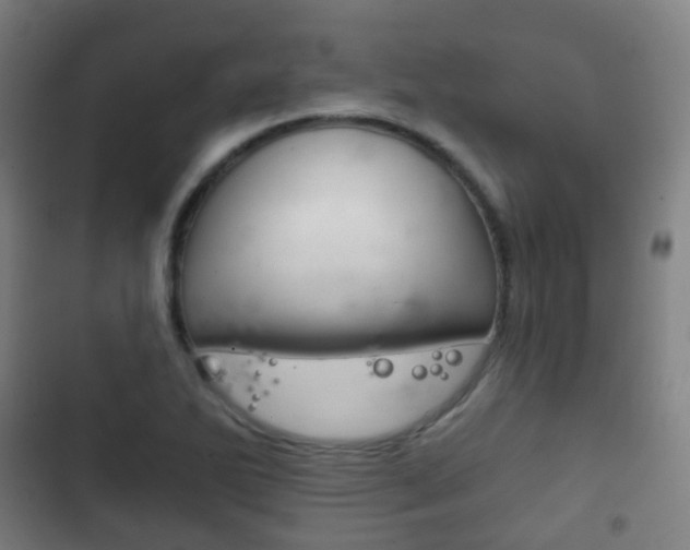 X0000103401270200809120915