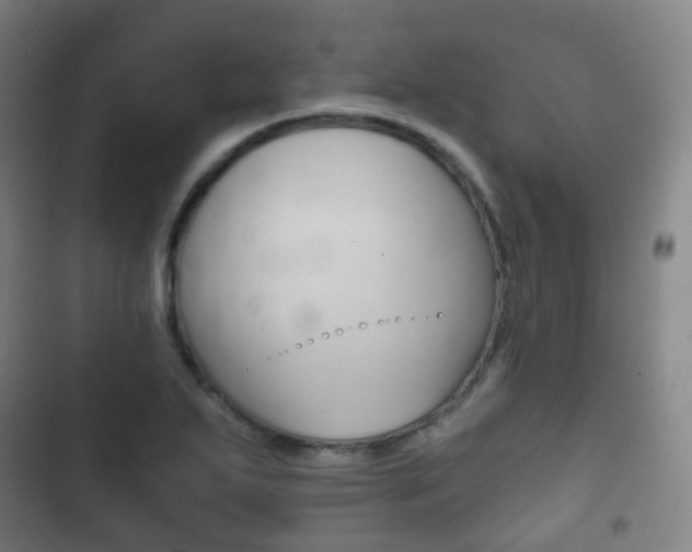 X0000103401271200809120915