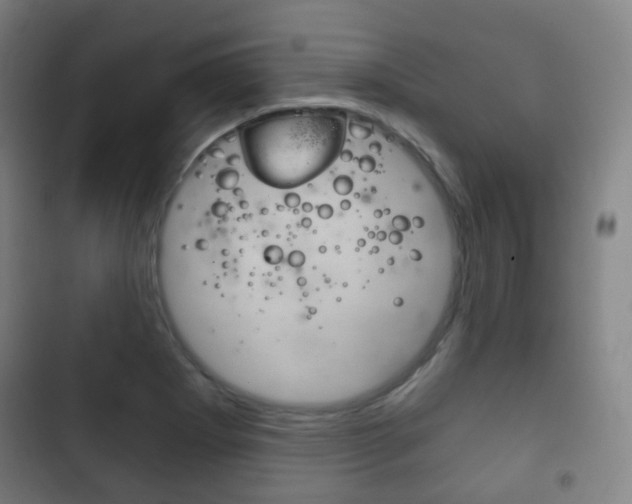 X0000103401273200809120915