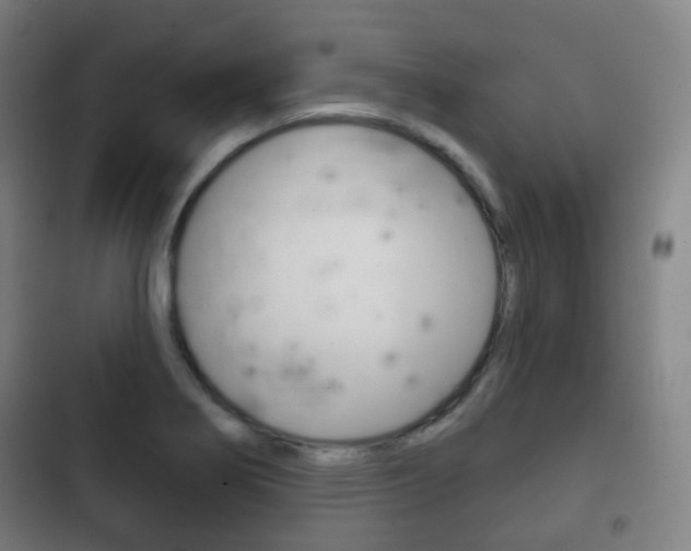 X0000103401274200809120915