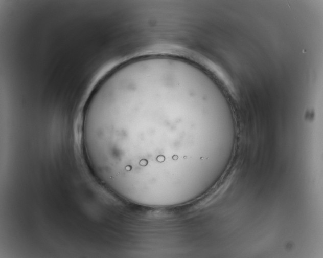 X0000103401275200809120915