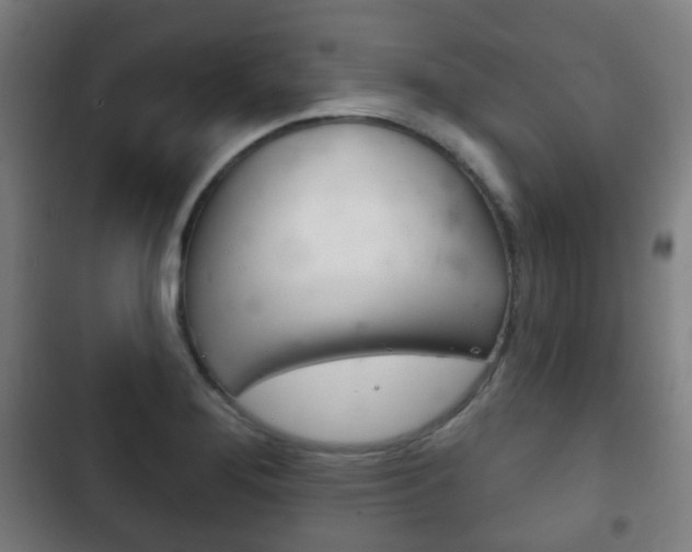 X0000103401276200809120915