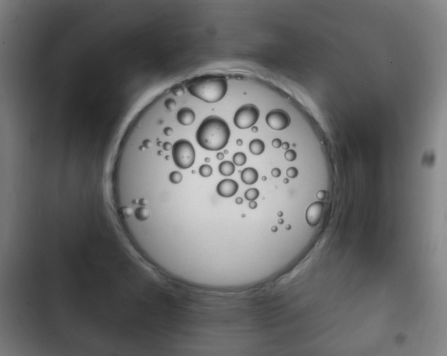 X0000103401277200809120915