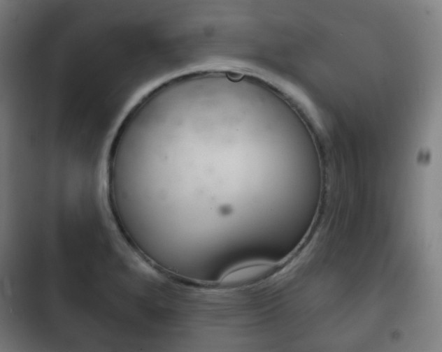 X0000103401280200809120915