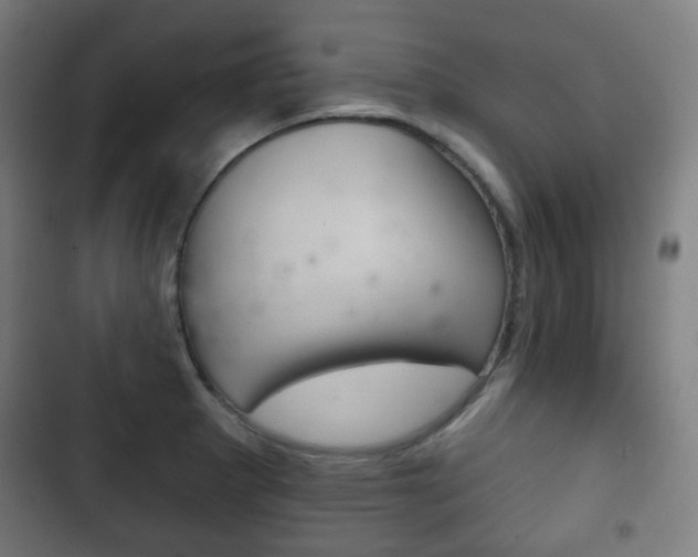 X0000103401281200809120915