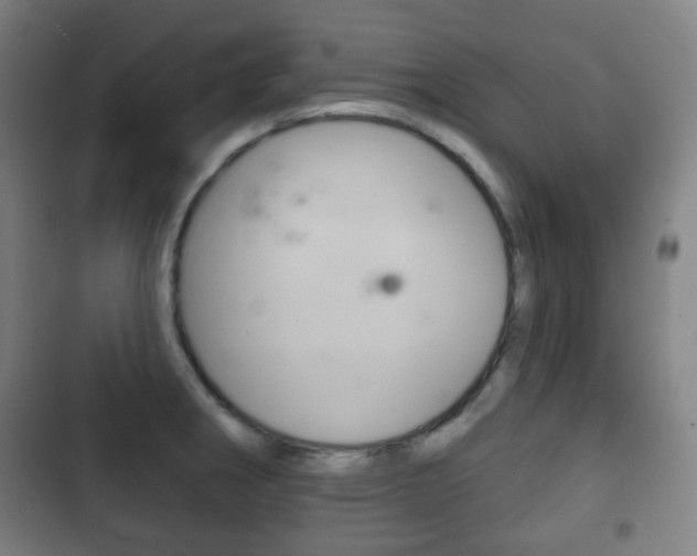 X0000103401282200809120915