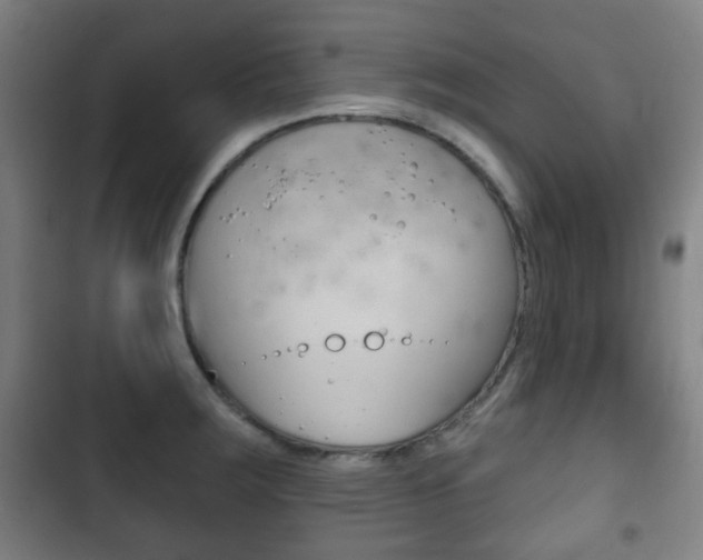 X0000103401283200809120915