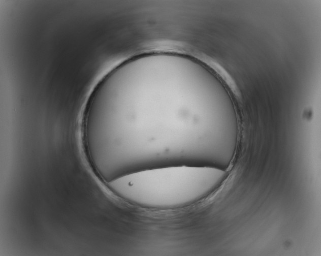 X0000103401285200809120915