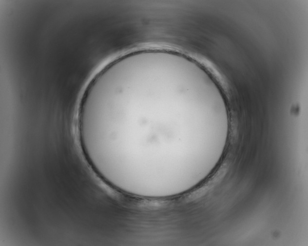 X0000103401286200809120915