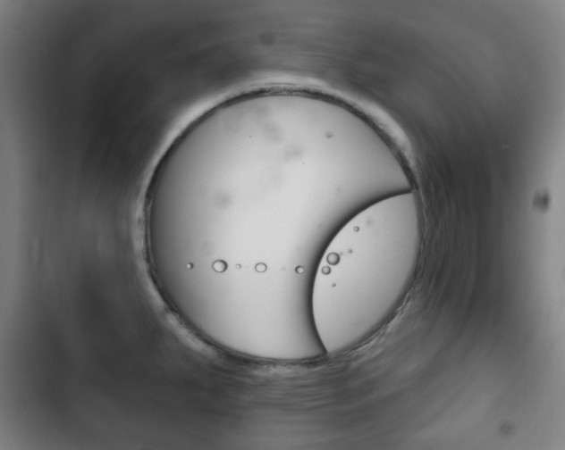 X0000103401287200809120915