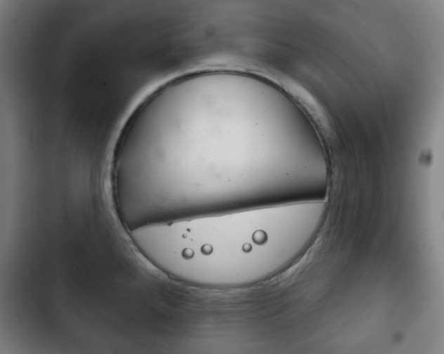 X0000103401288200809120915