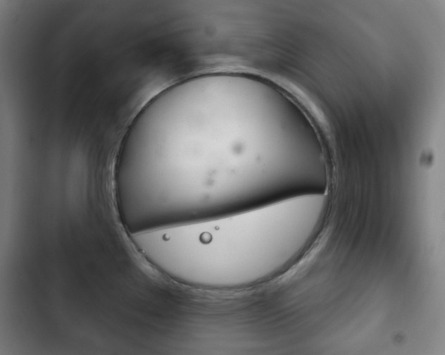 X0000103401289200809120915