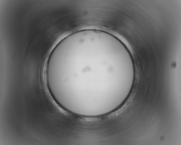 X0000103401290200809120915