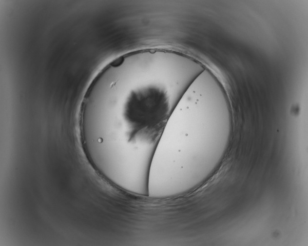 X0000103401291200809120915