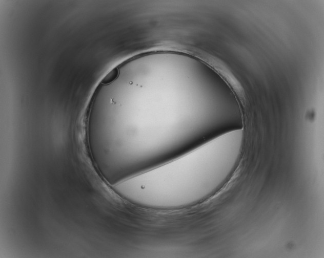X0000103401292200809120915
