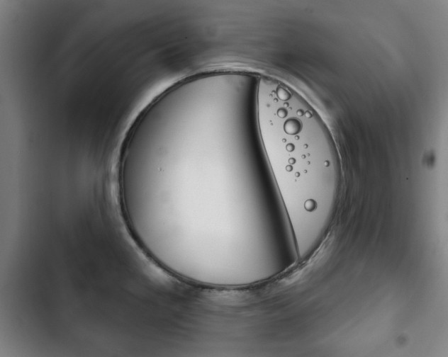 X0000103401293200809120915