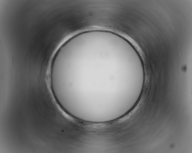 X0000103401294200809120915