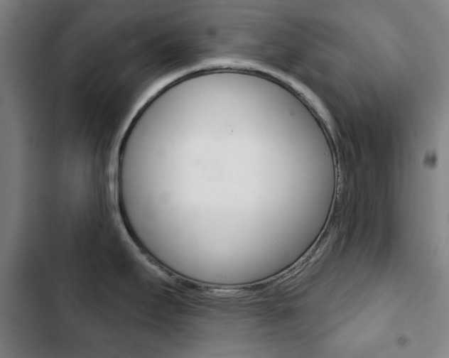 X0000103401295200809120915
