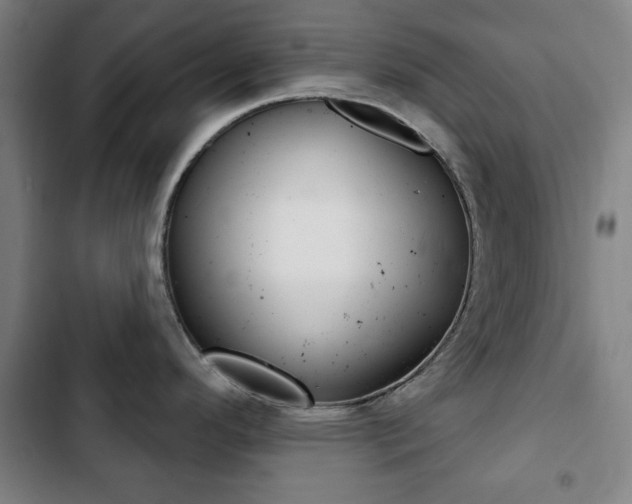 X0000103401296200809120915