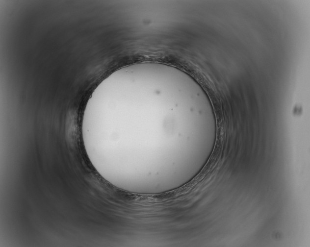 X0000103401298200809120914