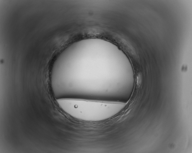 X0000103401299200809120914