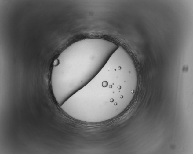 X0000103401300200809120914