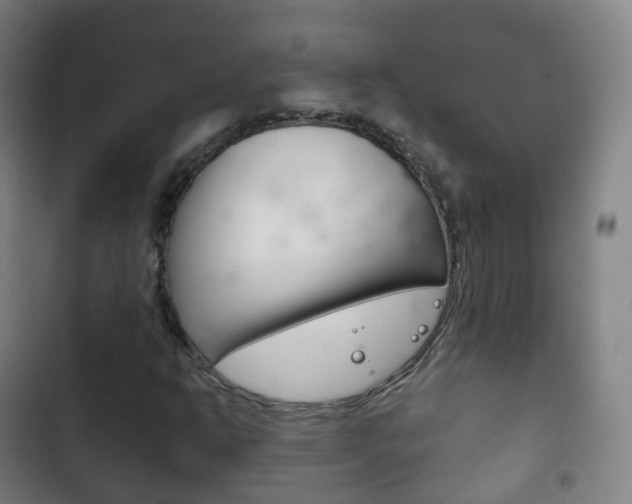 X0000103401302200809120914