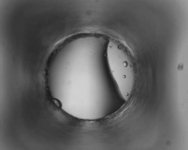 X0000103401304200809120914