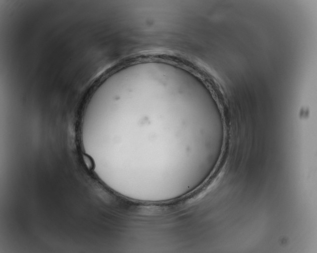 X0000103401305200809120914