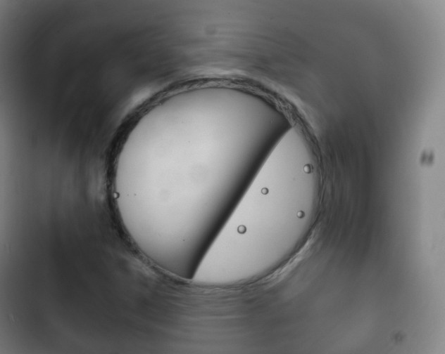 X0000103401306200809120914