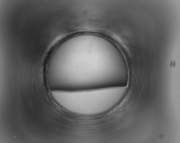 X0000103401307200809120914