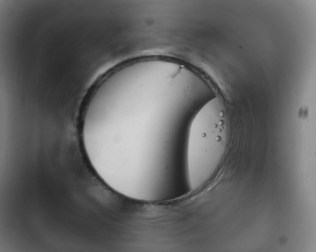 X0000103401308200809120914