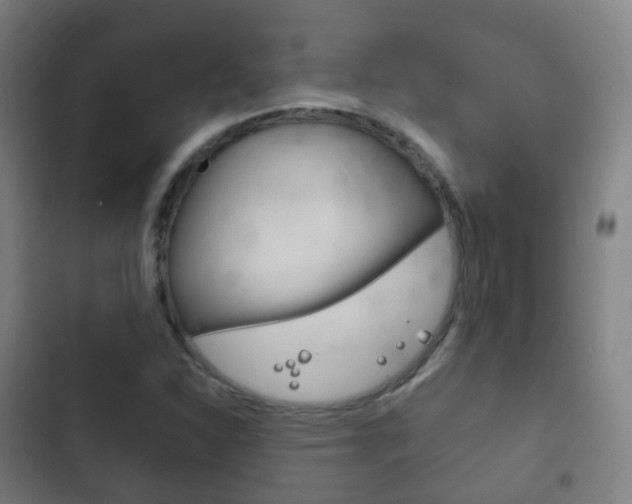 X0000103401310200809120914