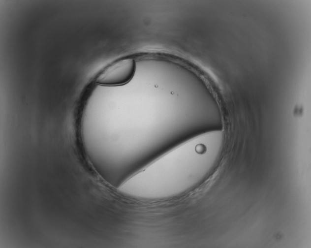 X0000103401311200809120914