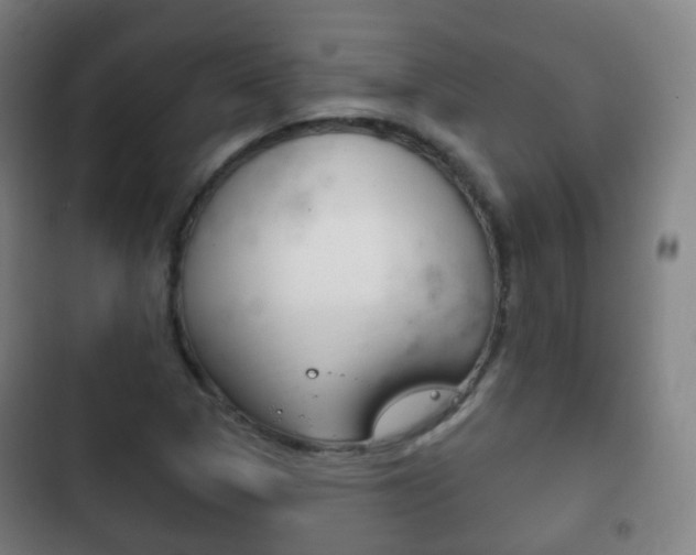 X0000103401313200809120914