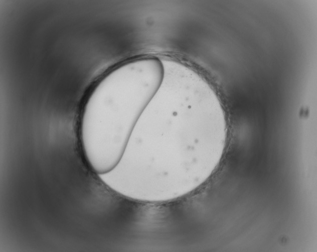 X0000103401314200809120915