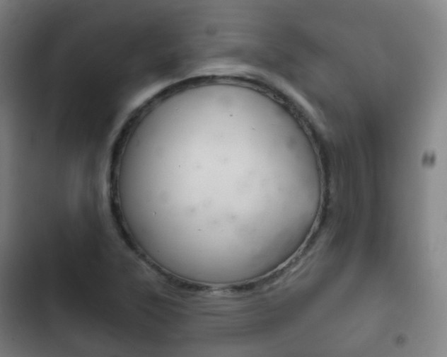 X0000103401315200809120915