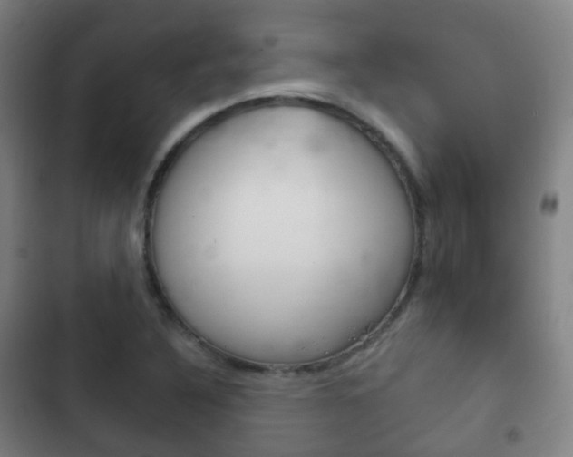 X0000103401316200809120915