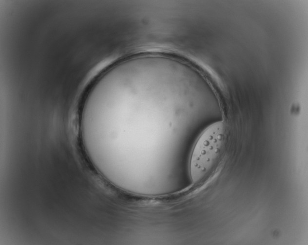 X0000103401317200809120915