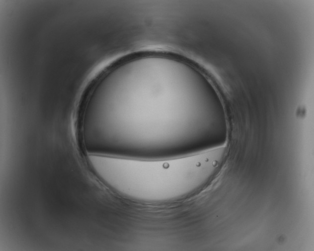 X0000103401319200809120915