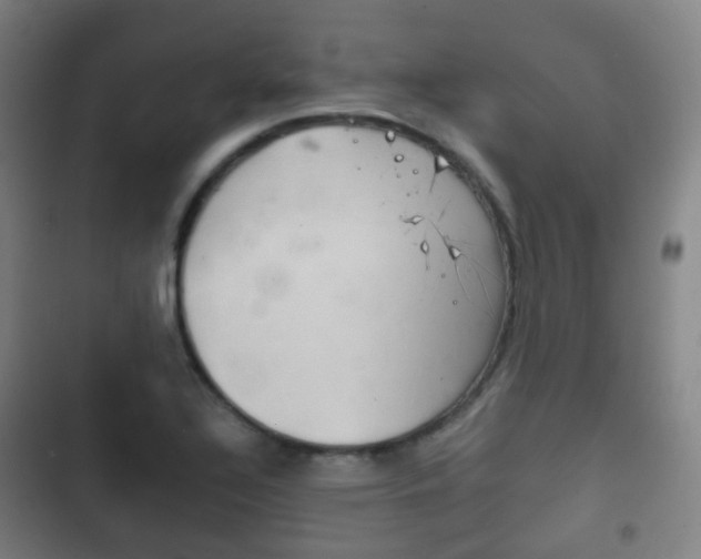 X0000103401320200809120915