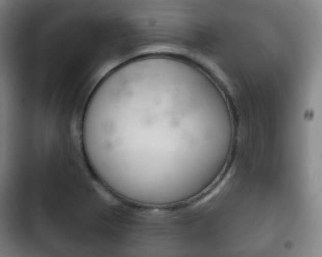 X0000103401321200809120915
