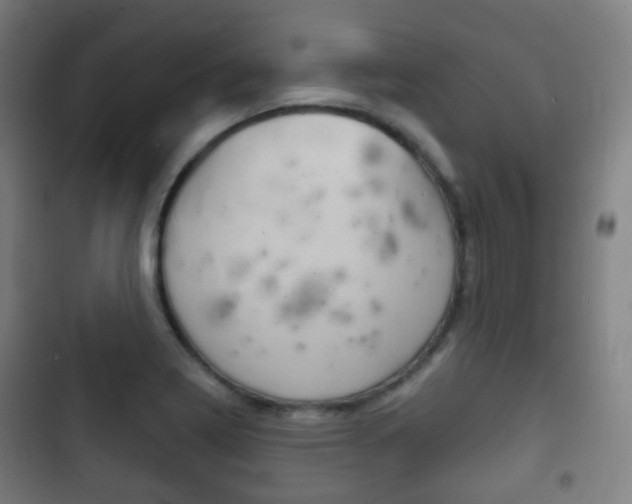 X0000103401322200809120915